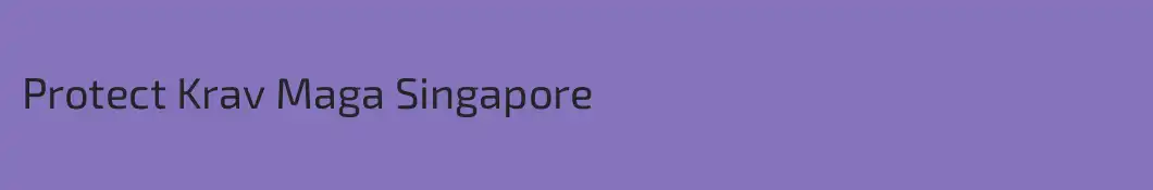 Protect Krav Maga Singapore